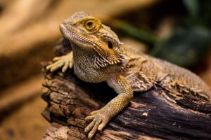 1歳の夜泣きに悩むママ必見の対策法は？