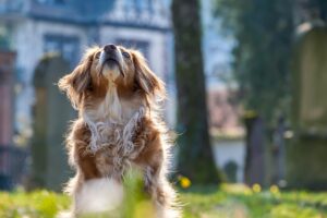 スワドルの注意点と赤ちゃんに最適な使い方は？