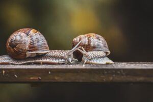 スワドルの効果的な巻き方は？