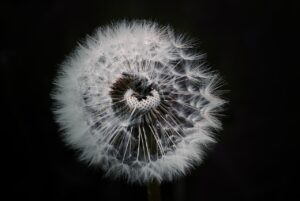 1歳の夜泣きでのけぞる原因と対策は？