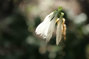 夜泣きが続く生後9ヶ月の赤ちゃんの睡眠退行対策は？