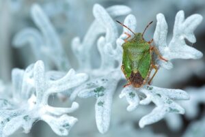 夜泣きに悩むママを助けるためのパパの協力方法は？
