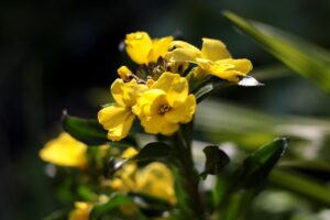 2歳の夜泣きが治らない理由と対策は？