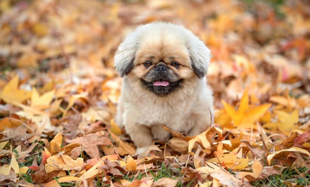 夜泣きに向いてない赤ちゃんへの効果的な方法は？