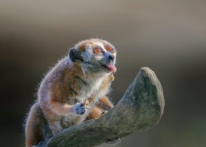 ねんトレの効果的な方法は？