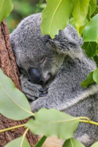 夜泣きを一人で寝るための練習方法は？