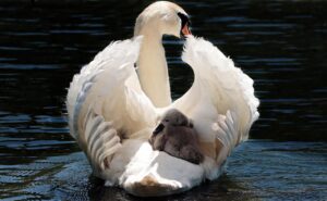 赤ちゃんの生活リズムの作り方はどうすればいい？