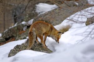 夜泣きをゼロにするための完全な対策は？